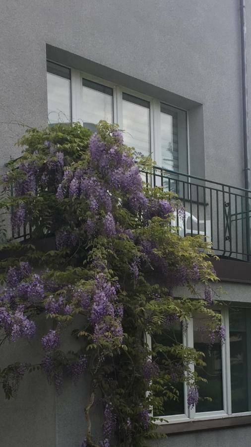 Willa Przy Plazy Gdynia Kamienna Gora Kültér fotó